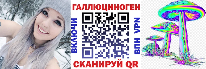 закладка  Кохма  Псилоцибиновые грибы Cubensis 