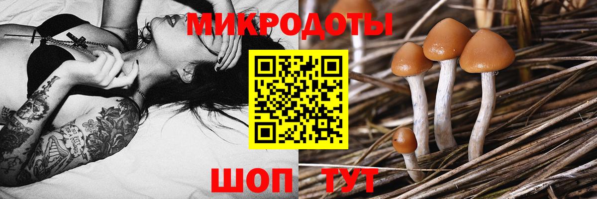 Псилоцибиновые грибы MAGIC MUSHROOMS Кохма